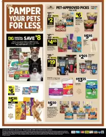 Dollar General weekly ad week 3 Page 14