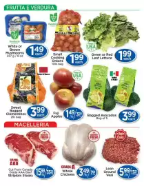 Lady York flyer week 3 Page 2