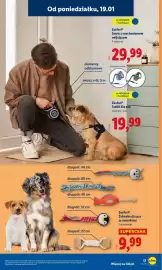 Lidl gazetka tydzień 4 Strona 17