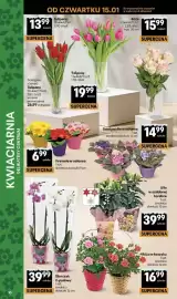 Delikatesy Centrum gazetka tydzień 3 Strona 10