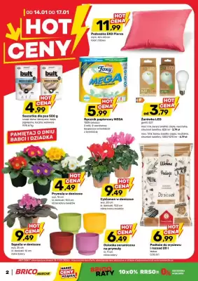 Bricomarche gazetka (ważność do 17-01)