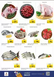 Nesto catalogue Page 9