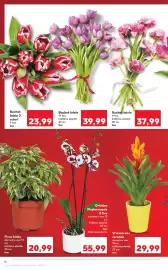 Catalog Kaufland săptămâna 3 Pagină 16