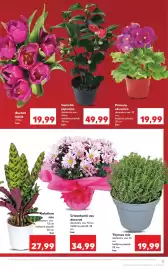 Catalog Kaufland săptămâna 3 Pagină 17