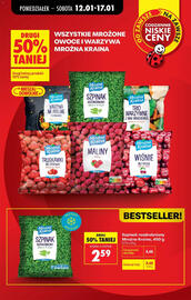 Biedronka gazetka tydzień 3 Strona 9