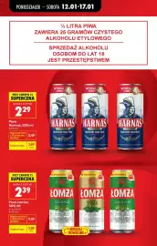 Biedronka gazetka tydzień 3 Strona 19