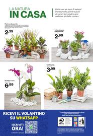 Volantino In'S Mercato Pagina 24