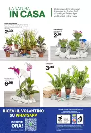 Volantino In'S Mercato Pagina 24