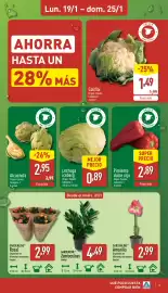 Folleto ALDI semana 4 Página 3