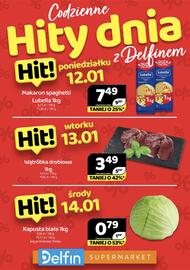 Delfin gazetka Strona 1