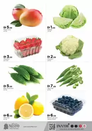 Nesto catalogue Page 3