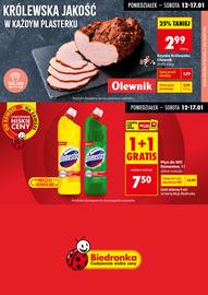 Biedronka gazetka tydzień 3 Strona 7