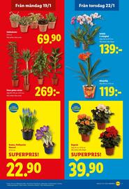 Lidl reklamblad vecka 4 Sida 20