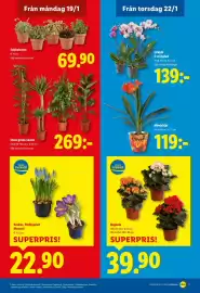 Lidl reklamblad vecka 4 Sida 20