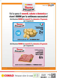 Volantino Conad Margherita Pagina 16