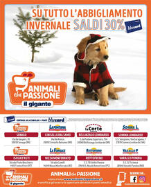 Volantino Il Gigante Pagina 8