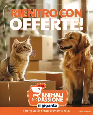 Volantino Il Gigante (valido fino al 8-02)