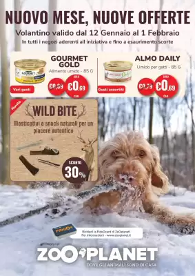 Volantino ZooPlanet (valido fino al 1-02)