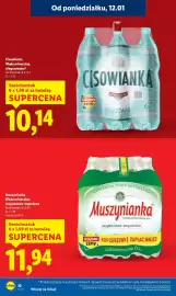 Lidl gazetka Strona 10