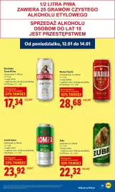 Lidl gazetka Strona 31