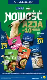 Lidl gazetka Strona 43