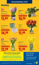 Lidl gazetka Strona 49