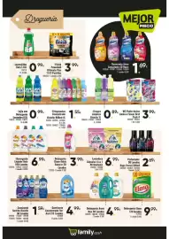 Catálogo Family Cash Página 14