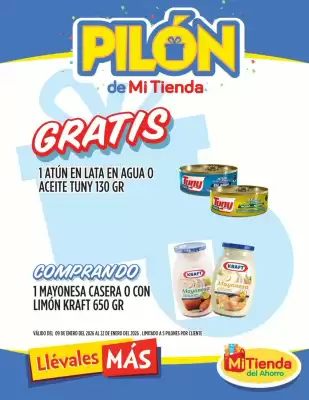 Folleto Mi Tienda del Ahorro (válido hasta 22-01)