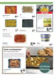 Hanos folder Pagina 3