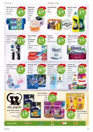 Market Point gazetka Strona 11