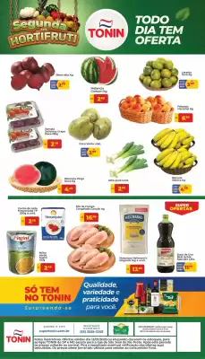 Catálogo Tonin Superatacado (válido até 12-01)