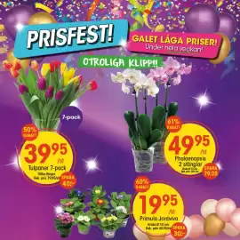 EKO reklamblad vecka 3 Sida 1