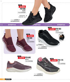 Catálogo Cklass Página 241