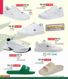 Catálogo Cklass Página 379