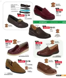 Catálogo Cklass Página 222