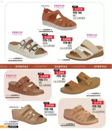 Catálogo Cklass Página 231