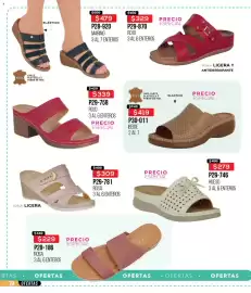 Catálogo Cklass Página 237