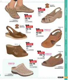 Catálogo Cklass Página 238