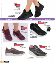 Catálogo Cklass Página 241