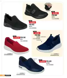 Catálogo Cklass Página 243