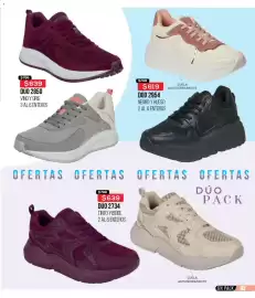 Catálogo Cklass Página 256