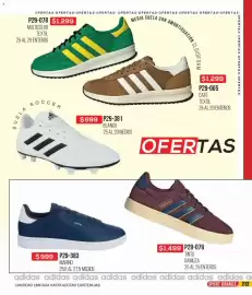 Catálogo Cklass Página 376