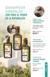 Catálogo Blen Página 45