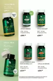 Catálogo Blen Página 62