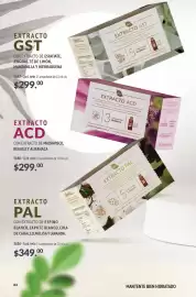 Catálogo Blen Página 84