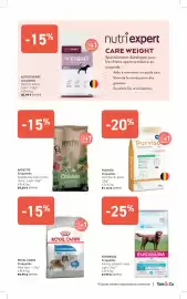 Catalogue Tom&Co page 3