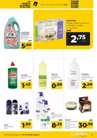 Folleto Alimerka semana 3 Página 15