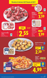 Catálogo Lidl semana 4 Página 25