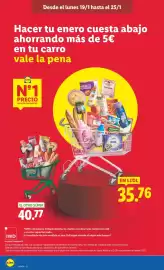 Catálogo Lidl semana 4 Página 2