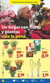 Catálogo Lidl semana 4 Página 40